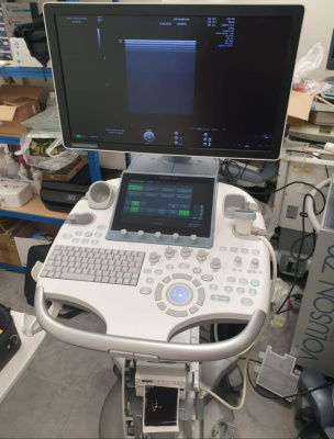 GE VOLUSON S10 DBF ONARIMI